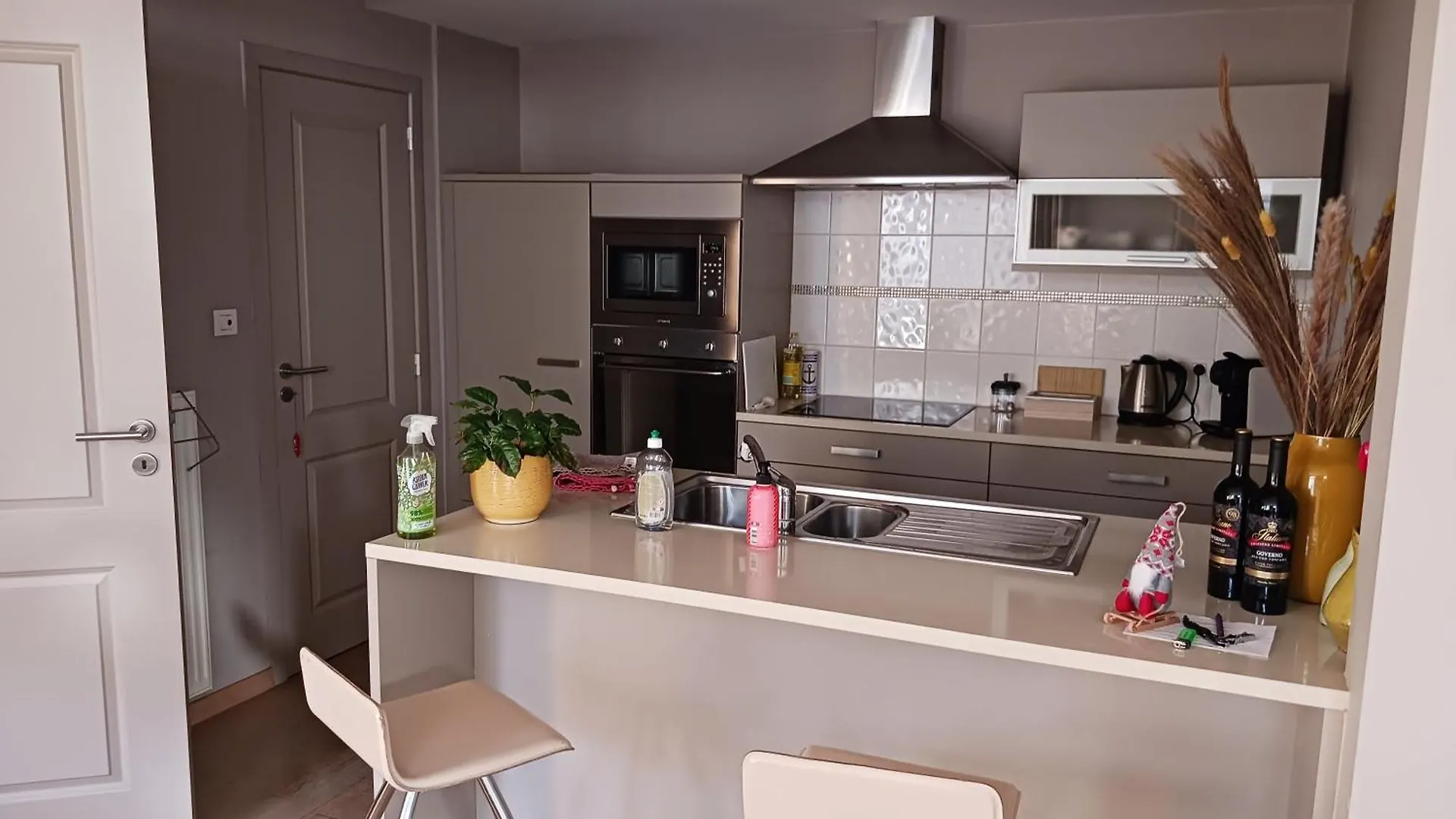 Apartment Suite L'Ane City Center & Parking Bruges